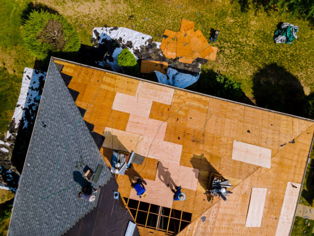 Best Roof Maintenance Services  in Sedgwick, KS